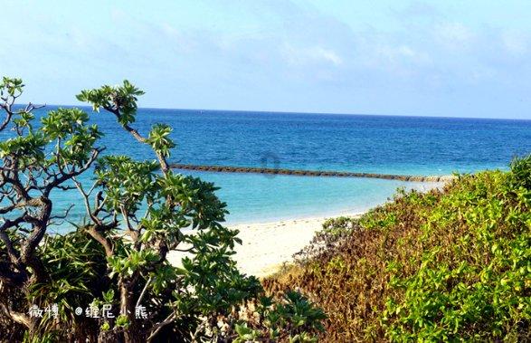 虎牙41级牌子多少人民币游戏画面